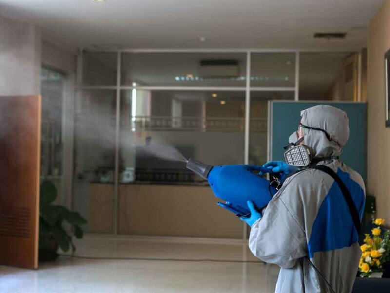 Compania DDD - Servicii Dezinsectie, Dezinfectie , Deratizare