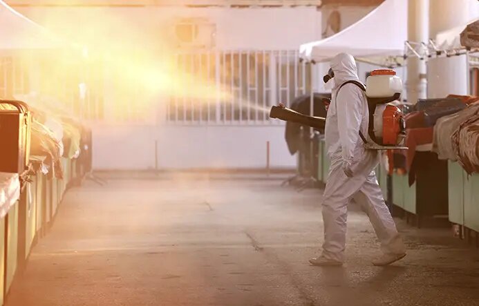 Compania DDD - Servicii Dezinsectie, Dezinfectie , Deratizare