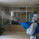 Compania DDD - Servicii Dezinsectie, Dezinfectie , Deratizare